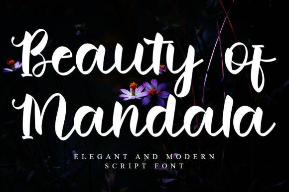 Beauty of Mandala: A Script Font for Elegant Branding