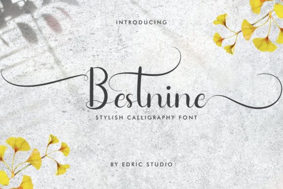 Bestnine Script Font: A Web Designer’s Review