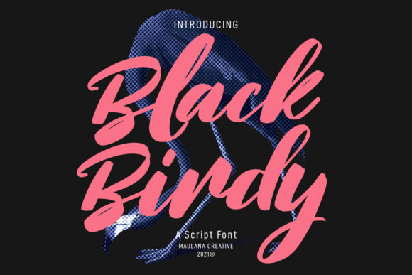Black Birdy: A Designer’s Honest Review