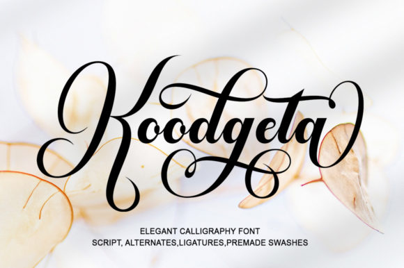 Koodgeta: The Playful Script Font for Campaigns