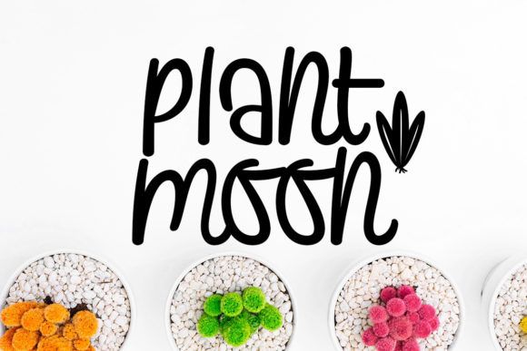 Plants and Moon: A Whimsical Script Font for Branding