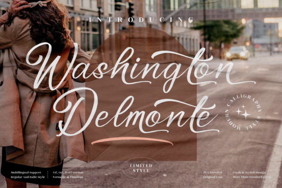 Washington Delmonte: A Graceful Script Font for Crafters
